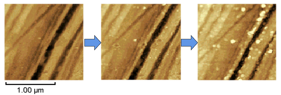 6.png